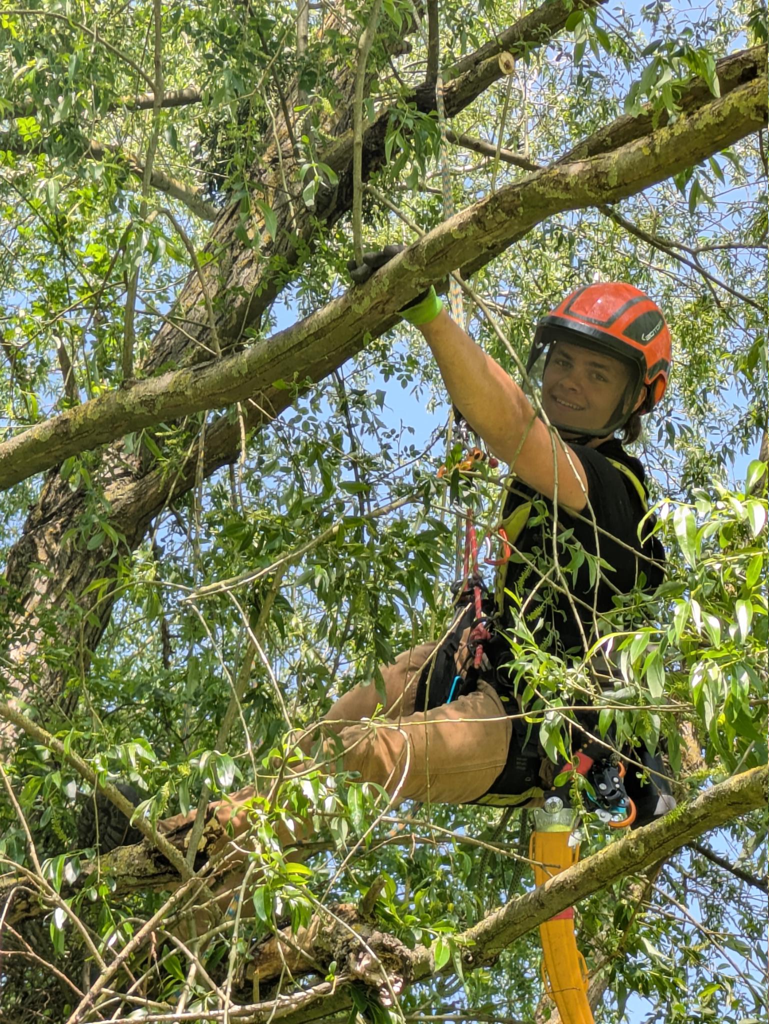 Joris Werkhausen in Seilklettertechnik im Baum